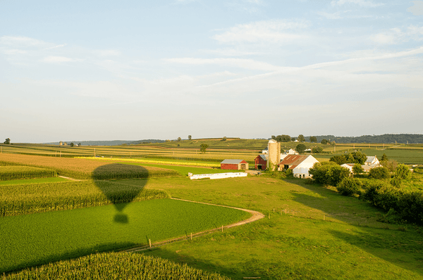 Shadow of hot air balloon over Lancaster County farmland.